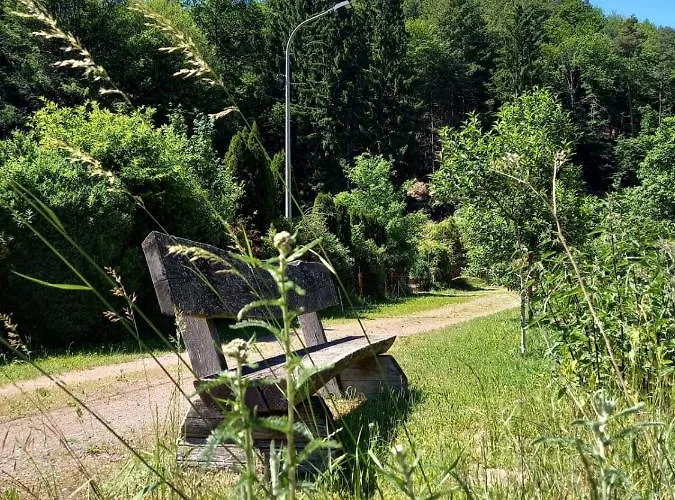 アパート Tremmbach Salzwoog